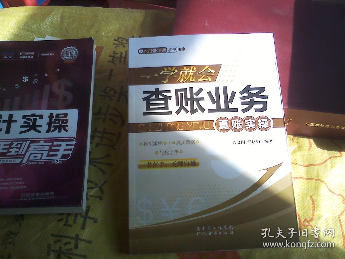 点击查看原图 一学就会查账业务真账实操