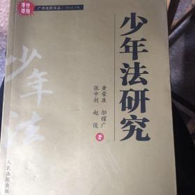 少年法研究
