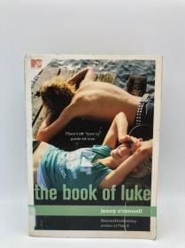 The Book of Luke 英文原版