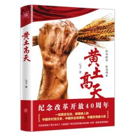 黄土高天（纪念改革开放40周年作品!“三农”题材长篇佳作，影视同名作品）