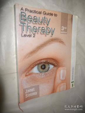 A Practical Guide to Beauty Therapy 3rd Ed: Level 2 英文原版