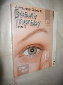 A Practical Guide to Beauty Therapy 3rd Ed: Level 2 英文原版