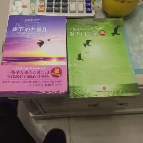 当下的力量