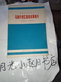 新疆塔里木盆地
马蹄形探区勘探成果简介