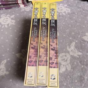 中国考古探秘 第123辑 DVD.