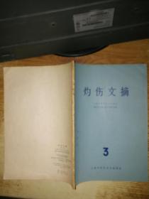 灼伤文摘  第三辑