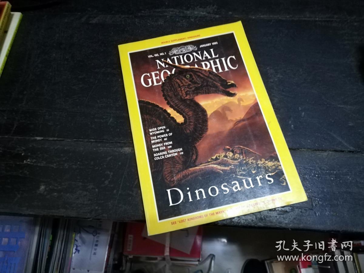 NATIONAL GEOGRAPHIC JANUARY1993