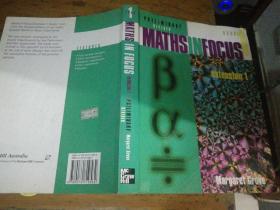 MATHSINFOCUS 平装