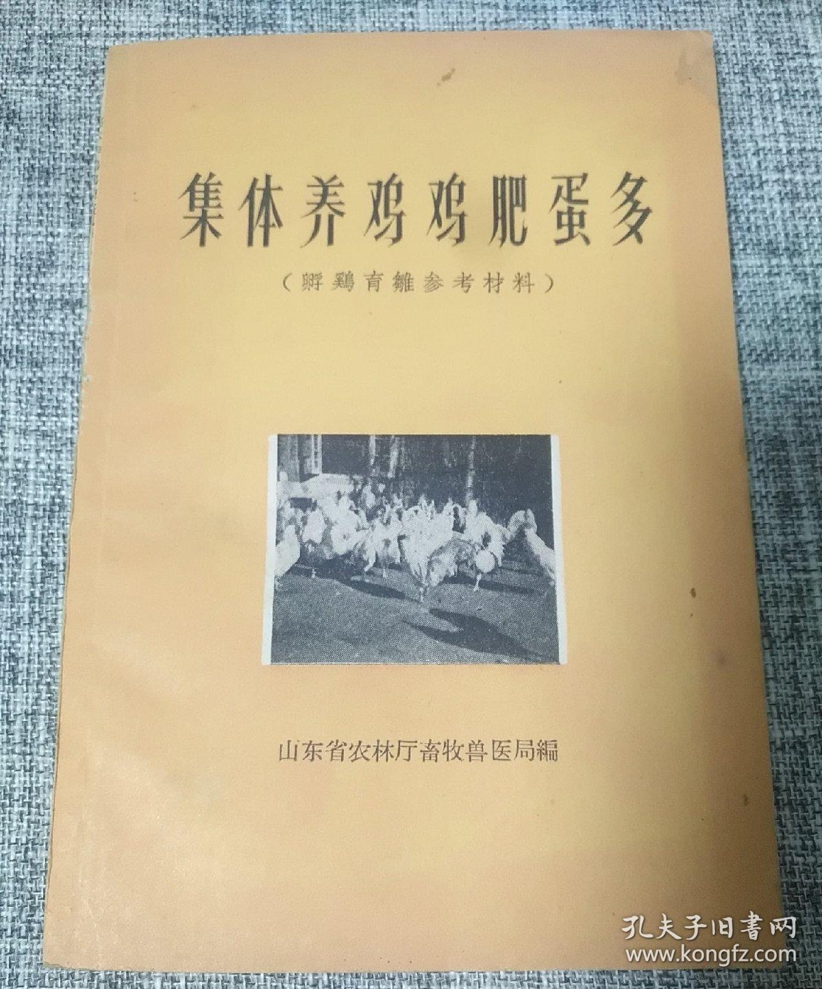 集体养鸡鸡肥蛋多[1959年]