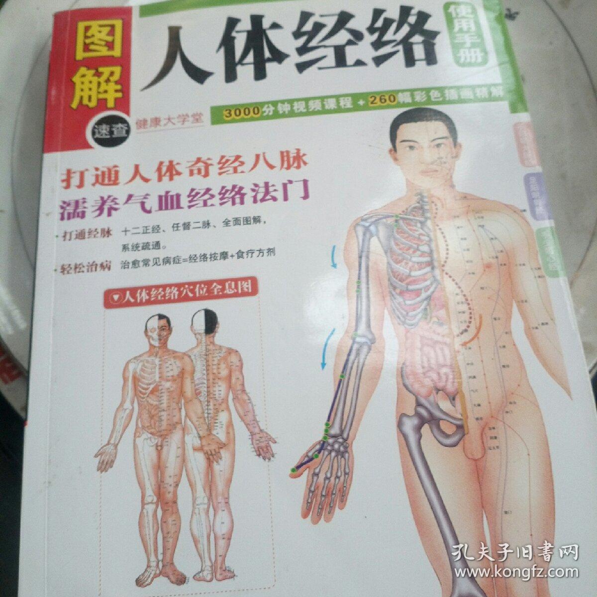 图解人体经络使用手册