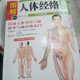 图解人体经络使用手册