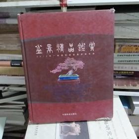 盆景精品鉴赏：2010年广州国际盆景邀请展实录