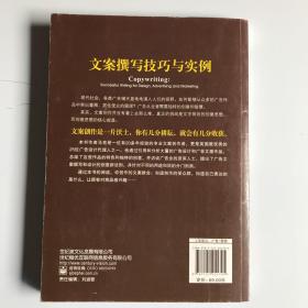 文案撰写技巧与实例