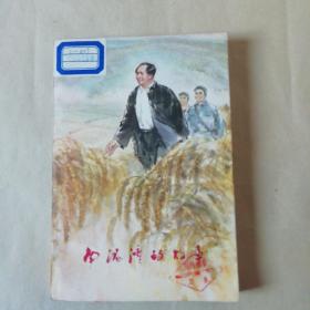 南泥湾的故事