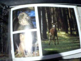 外版画册 BELARUS