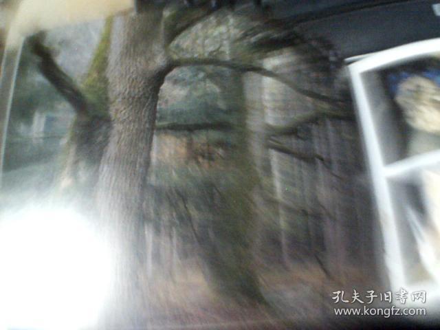 外版画册 BELARUS