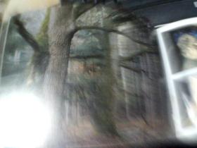 外版画册 BELARUS