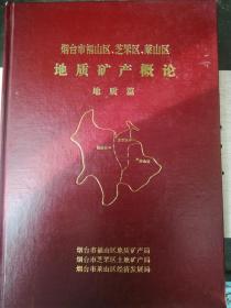 烟台市福山区、芝罘区、莱山区地质矿产概论 （地质篇）（91箱）