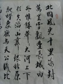朱汉权：书法：毛泽东《沁园春 雪》（带简介）（ 朱汉权，男，1964年生，中共党员，安徽省安庆人， 师从美术家程德华先生和于宏先生。现为中华名人协会会员，安徽省安庆市书法协会会员。 2007年被中国文史出版社《王一端诗评历代帝王》选展书法作品23幅。作品曾被国家图书馆，北京图书馆等多家图书馆收藏，多幅作品发表于《长河文艺》等杂志。）