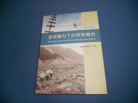 四社平埔卷--滚滚尘石下的族群离合--莫拉克台风前后的楠梓仙溪与荖浓溪部落变迁史-16开签名本