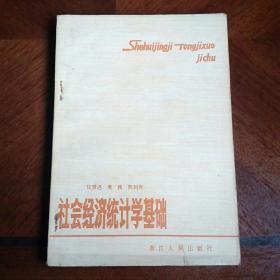 社會(huì)經(jīng)濟(jì)統(tǒng)計(jì)學(xué)基礎(chǔ)