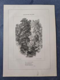 1850年 木口木刻 木版画 （正背印刷）之022号 0601