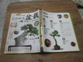 盆栽基礎《日本原版书》