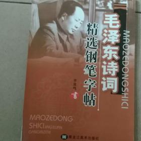 毛泽东诗问精选钢笔字帖