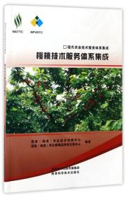 大樱桃车厘子种植技术光盘 樱桃技术服务体系集成/现代农业技术服务体系集成