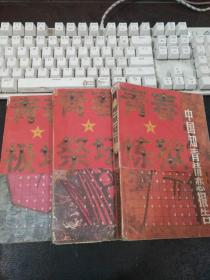 中国知青情恋报告(上中下)