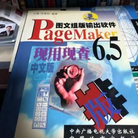 PageMaker 6.5现用现查:图文组版输出软件