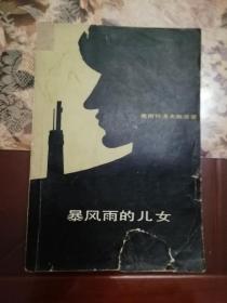 暴风雨的儿女（奥斯特洛夫斯基在《钢铁是怎样炼成的》之后创作的第二部长篇小说）