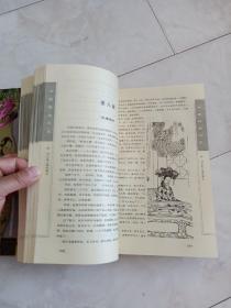 《中国艳史大系》（第三卷）16开精装带护封，1999年一版一印，多幅插图。