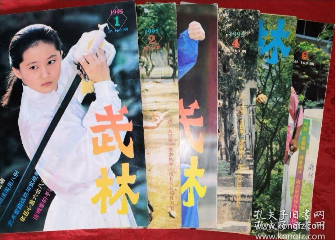 绝版经典丨<武林>1995年1~12期 （全12期）