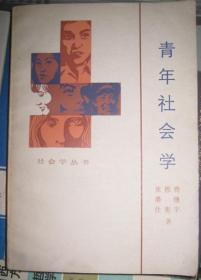 【青年社会学】 作者 :  费穗宇 著 --山东人民出版社