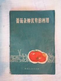 番茄杂种优势的利用 72