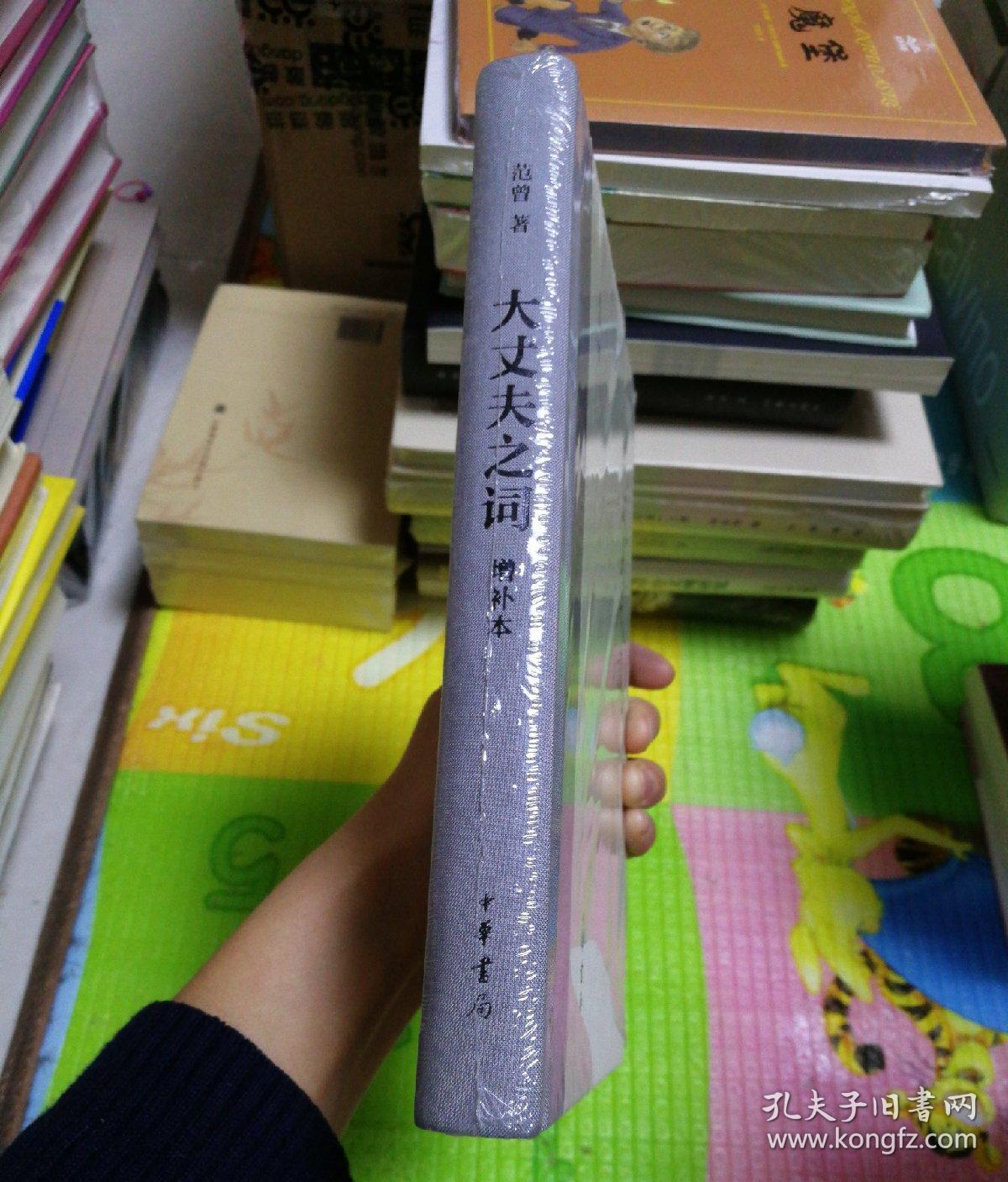 大丈夫之词·增补本