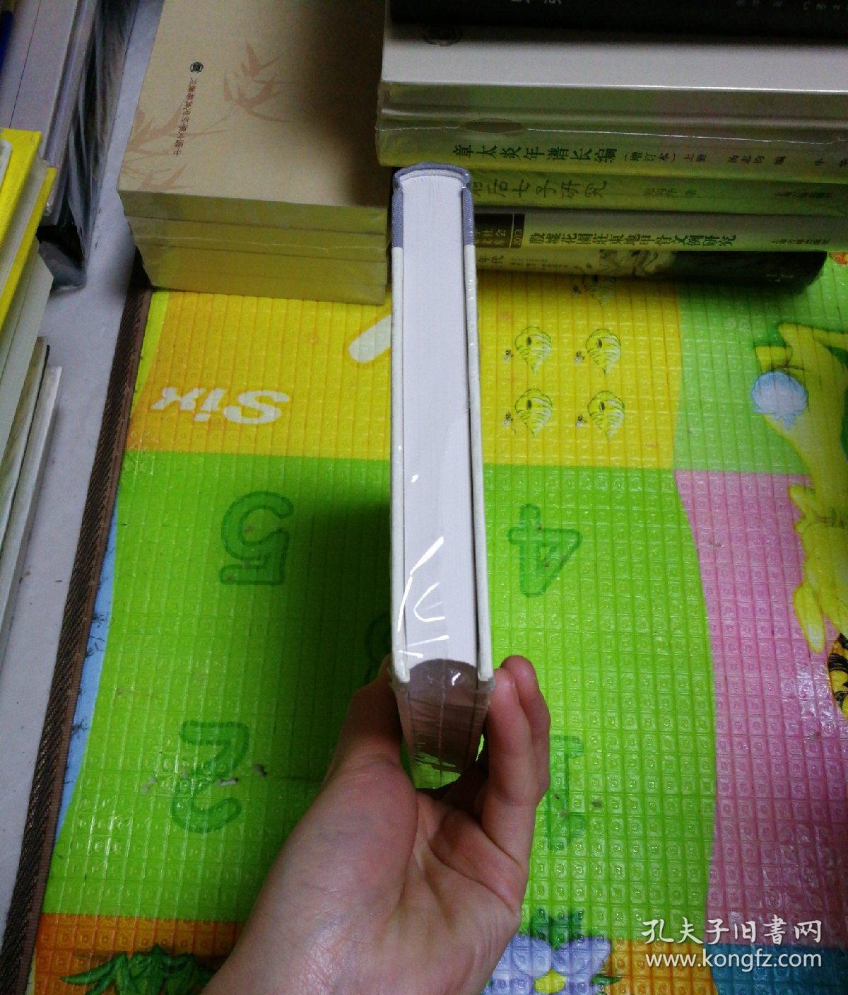 大丈夫之词·增补本