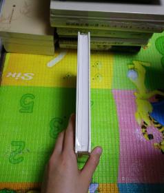 大丈夫之词·增补本