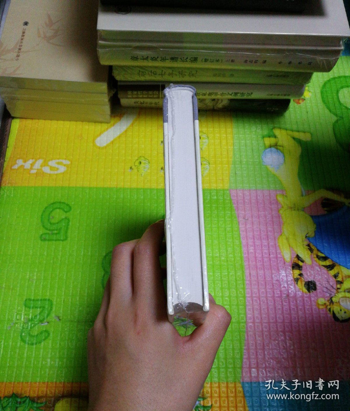 大丈夫之词·增补本