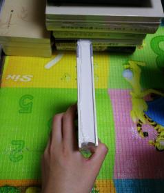 大丈夫之词·增补本