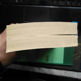 【品相绝佳】诗词曲语辞汇释（上下册）