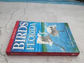 Birds of Florida