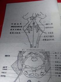 广州地区医药卫生学术报告资料-----眩晕的诊断与治疗