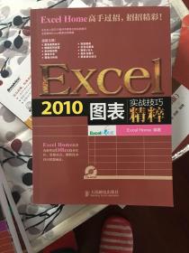 实战技巧精粹：Excel2010图表
