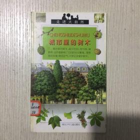 走进大自然：城市里的树木