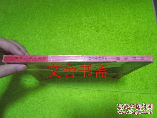 高野圣僧:泉镜花小说选