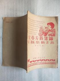 文章片断集锦
