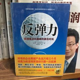 反弹力：困境是迈向巅峰的最佳时机