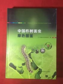 中国柞树害虫原色图鉴〔全新未开封〕